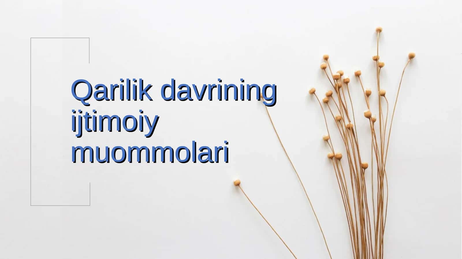 Qarilik davrining ijtimoiy muommolari
