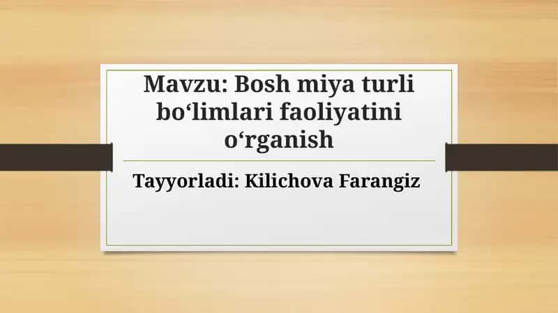 Bosh miya boʻlimlari va ularning funktsiyalari