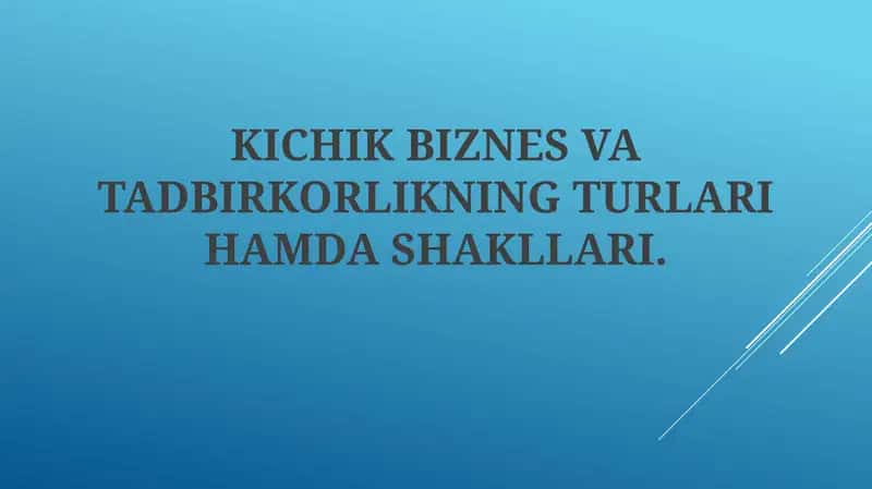 Kichik biznes va tadbirkorlikning turlari va shakllari