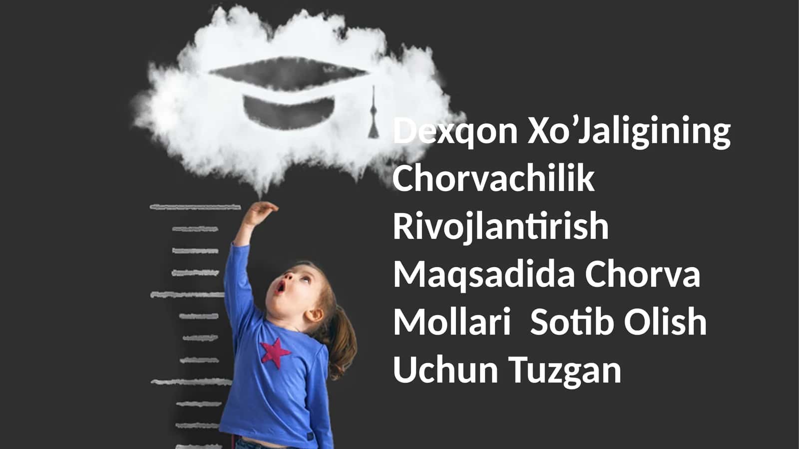 Dexqon Xo’Jaligining Chorvachilik Rivojlantirish Maqsadida Chorva Mollari Sotib Olish Uchun Tuzgan Loyihaga umumiy nuqtai