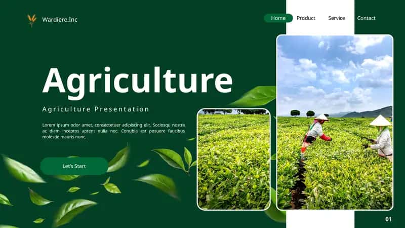Agriculture Presentation