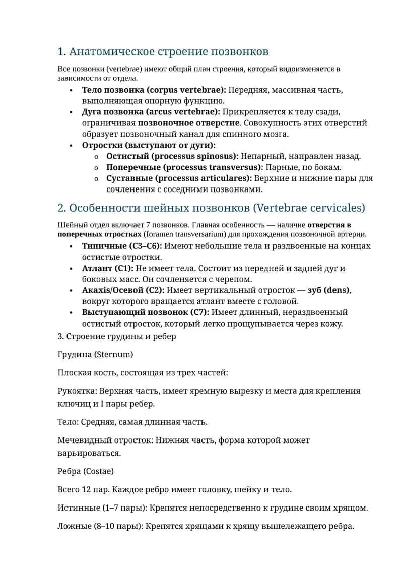 Анатомия остеология