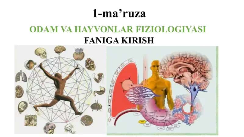 “Odam va hayvonlar fiziologiyasi” faniga kirish.