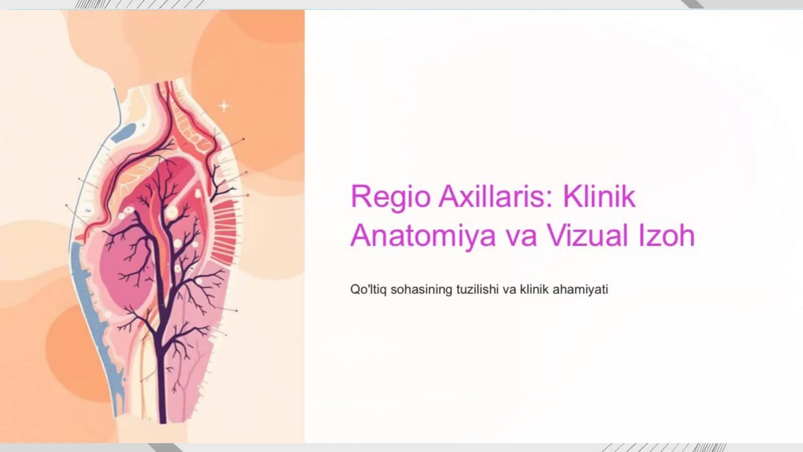 Qo'ltiq sohasi: Klinik anatomiya va ahamiyati