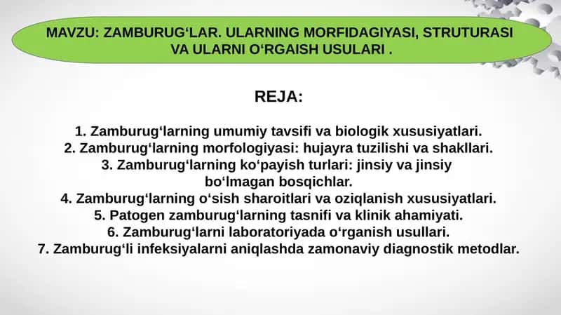 ZAMBURUGʻLAR. ULARNING MORFIDAGIYASI, STRUTURASI VA ULARNI OʻRGAISH USULARI