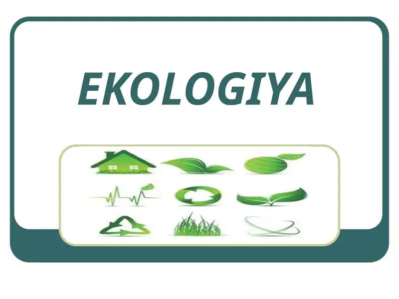 Ekologiya