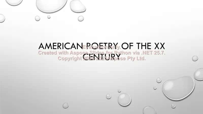 American poetry of the XX century