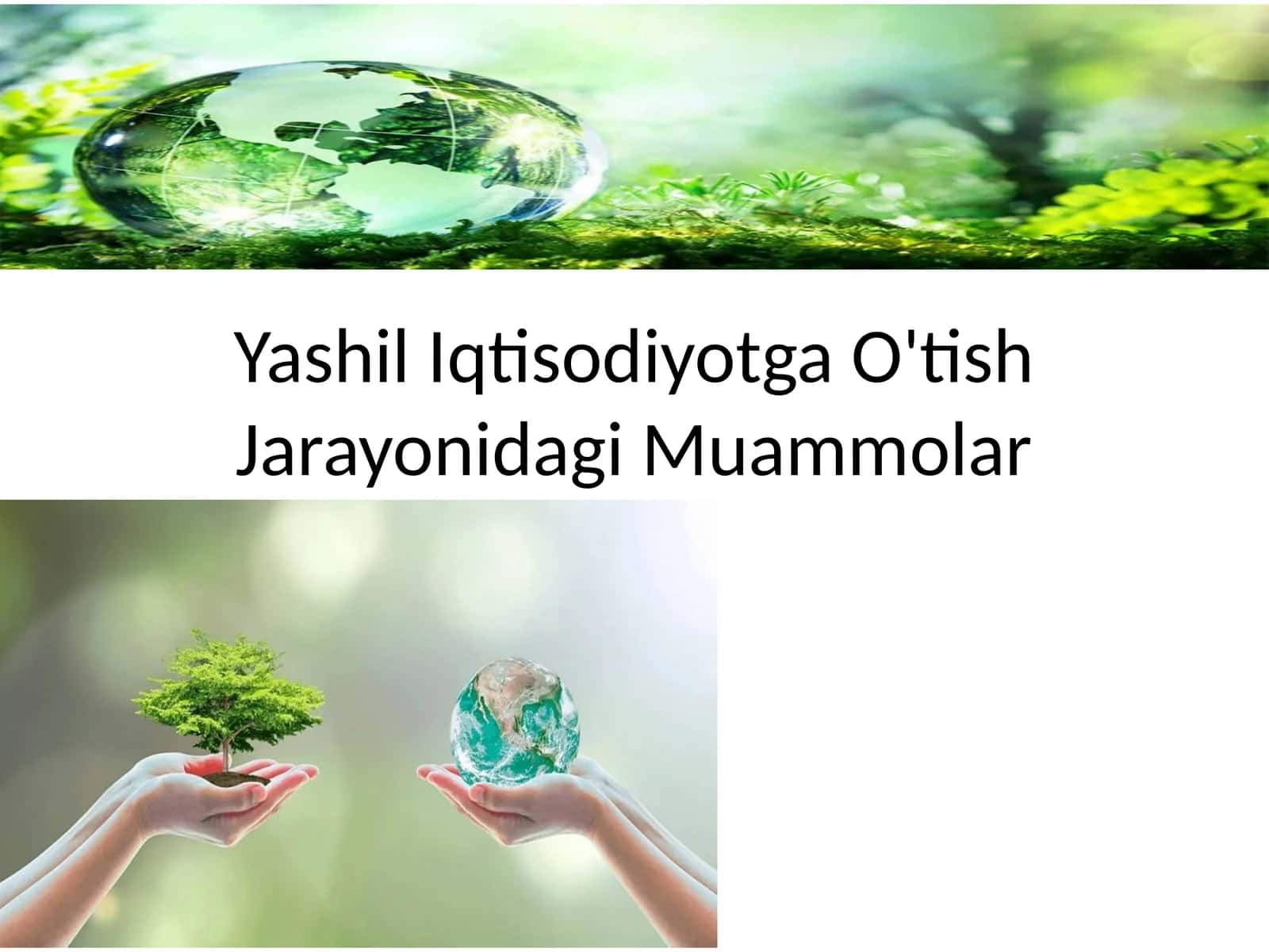 Yashil Iqtisodiyotga O'tish Jarayonidagi Muammolar