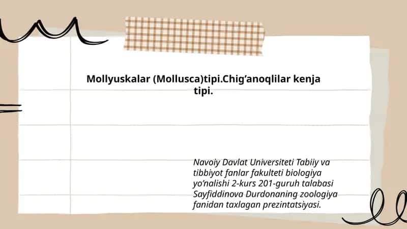Mollyuskalar (Mollusca)tipi