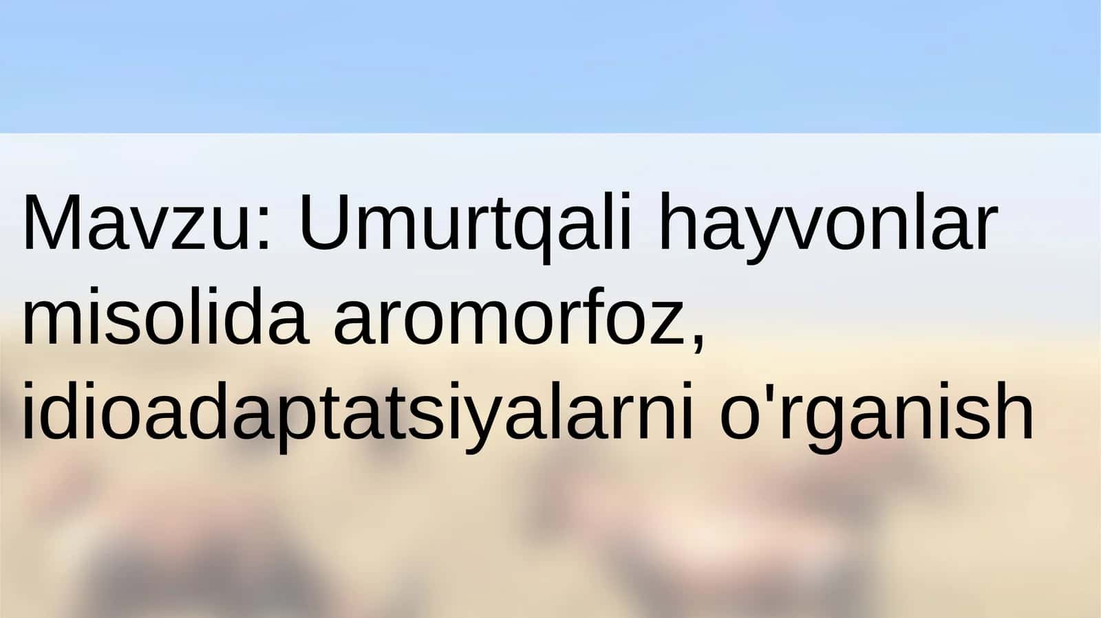 Umurtqali hayvonlarda aromorfoz va idioadaptatsiya