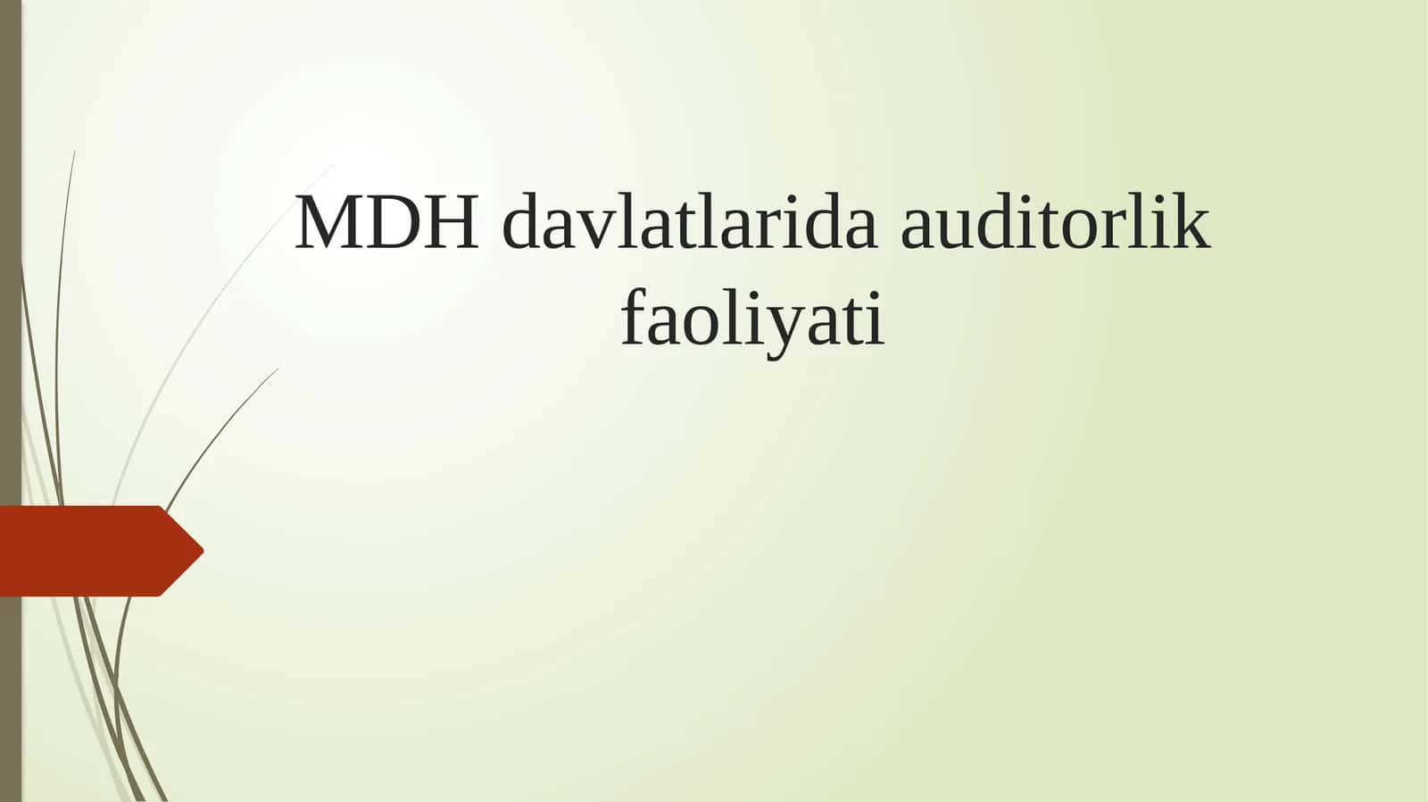 MDH davlatlarida auditorlik faoliyati