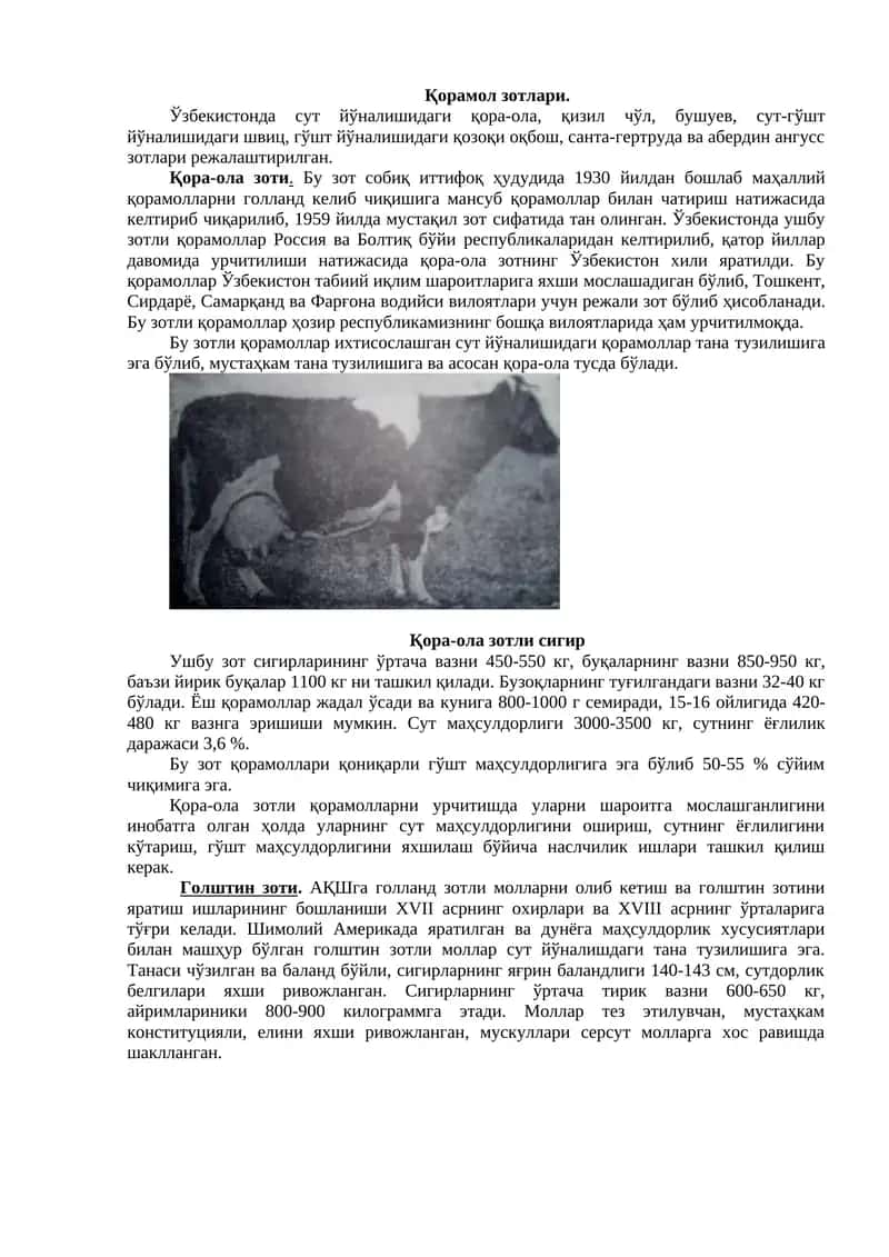 Қорамол зотлари