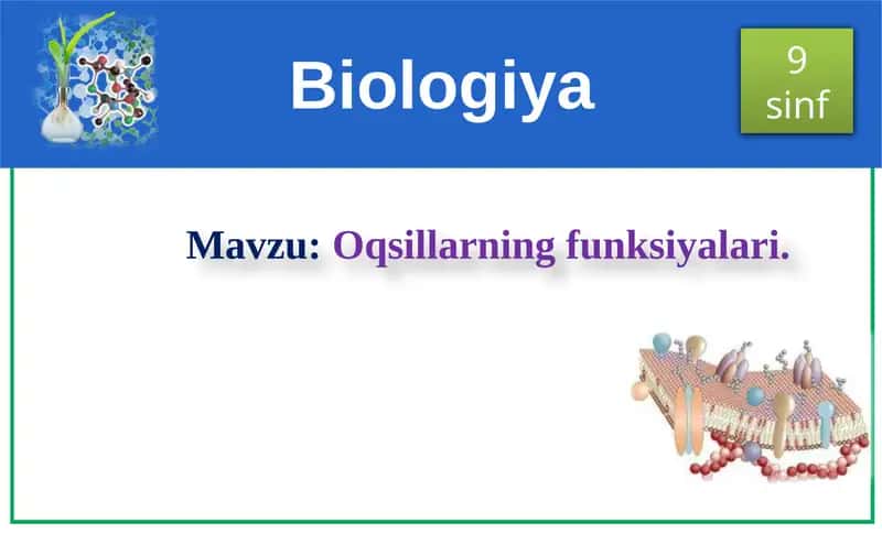 Oqsillarning funksiyalari