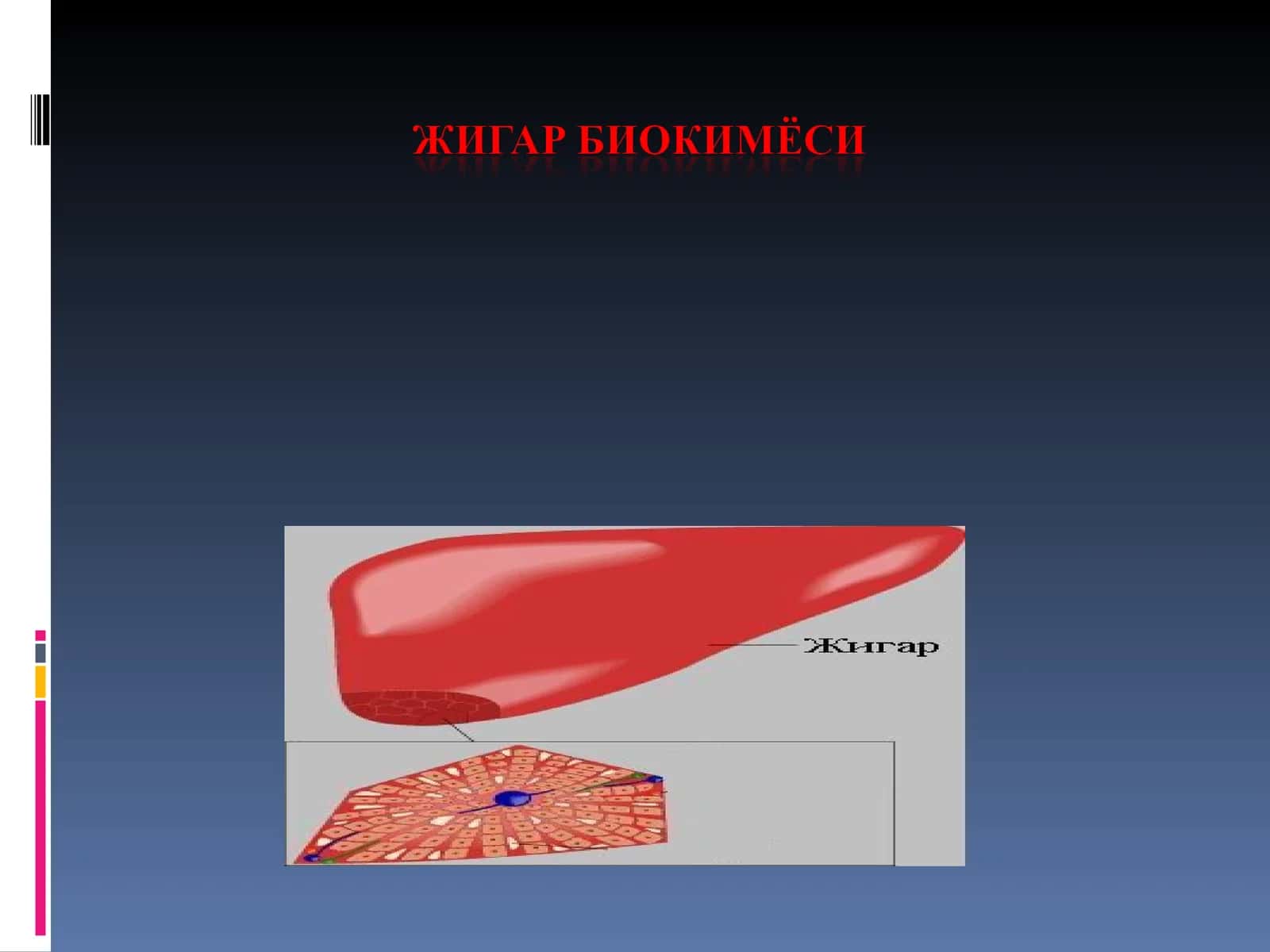 Жигар ахамияти