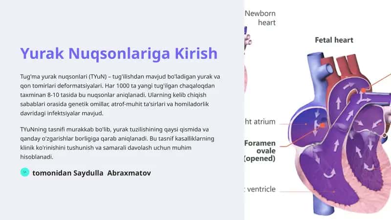 Yurak Nuqsonlariga Kirish