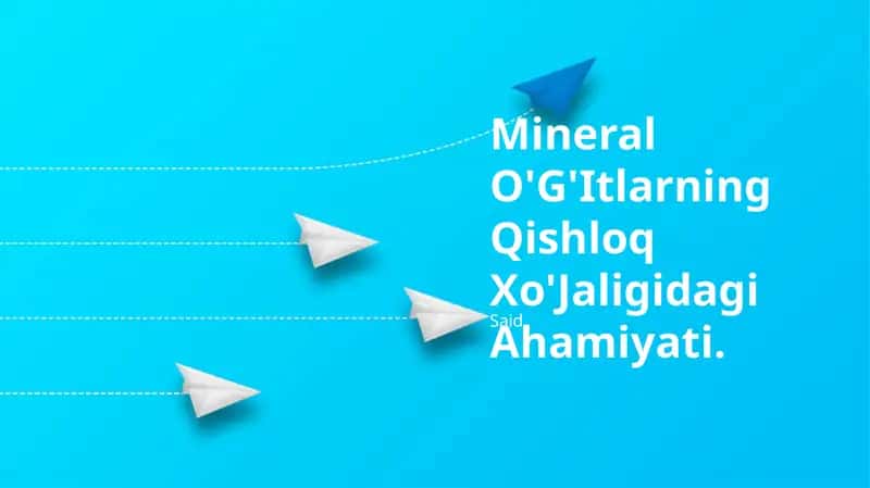 Mineral O'G'Itlarning Qishloq Xo'Jaligidagi Ahamiyati