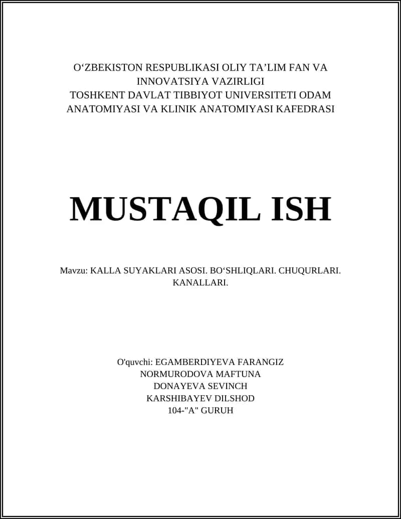 KALLA SUYAKLARI ASOSI. BOʻSHLIQLARI. CHUQURLARI. KANALLARI