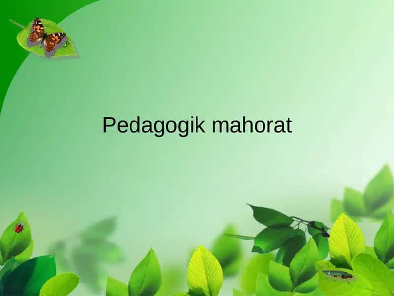 Pedagogikmahorat