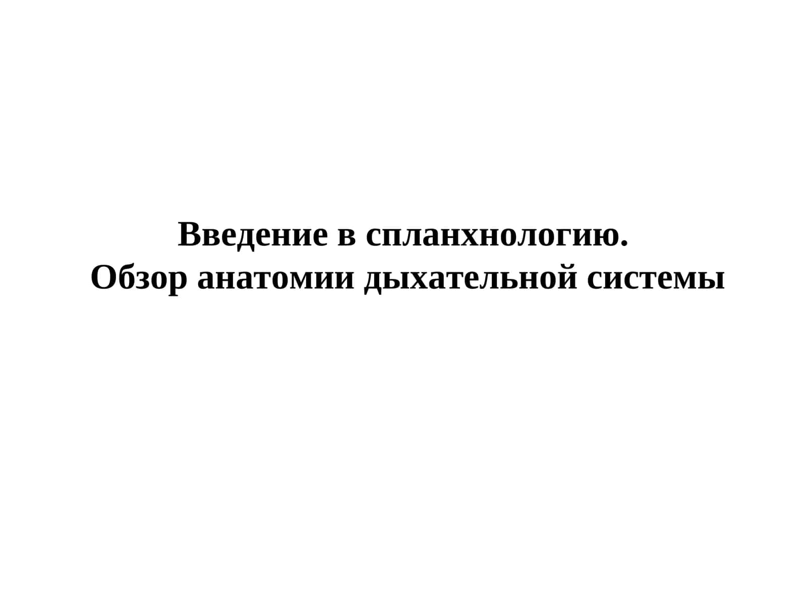 Обзор анатомии дыхательной системы
