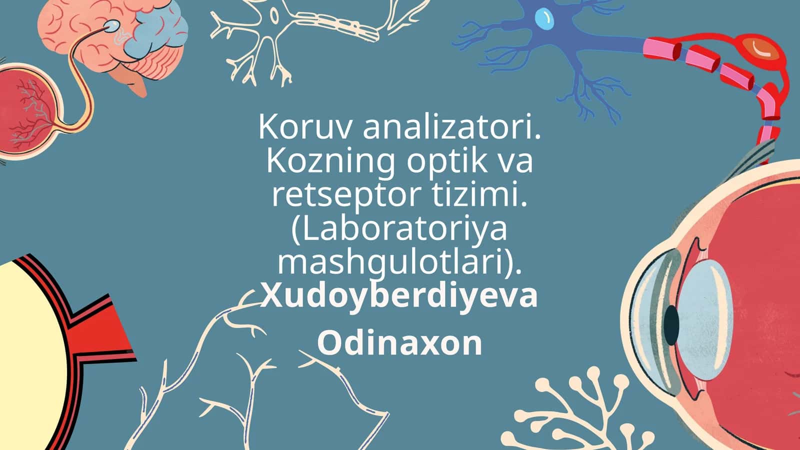 Koruv analizatori. Kozning optik va retseptor tizimi.