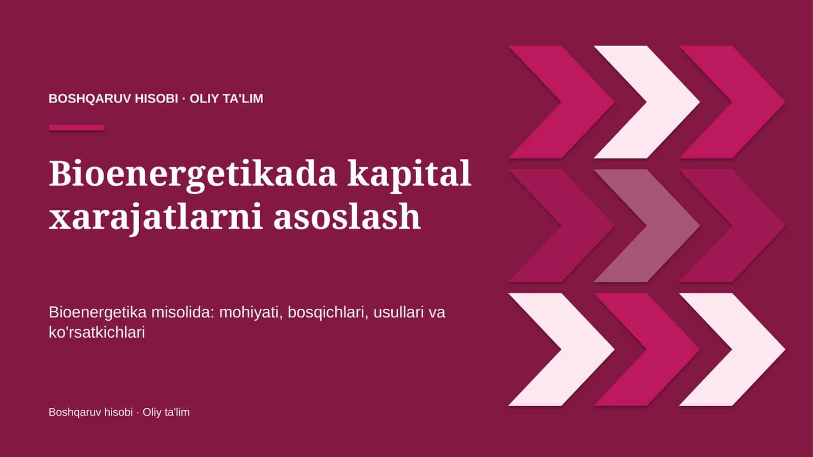 Bioenergetikada kapital xarajatlarni asoslash