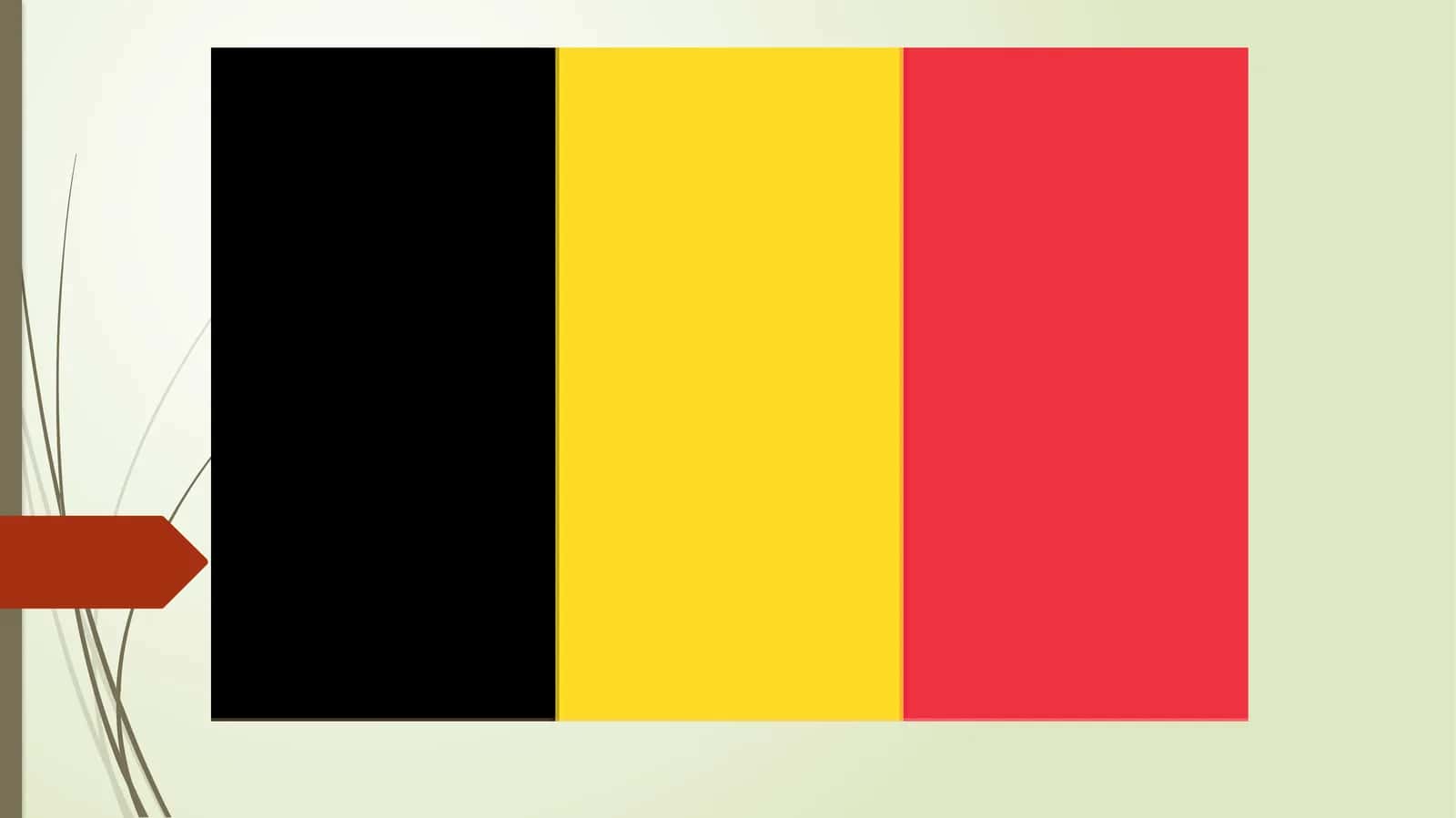 BelgiyavaShvetsiyadavlatlarita’limtizimigakomparativistiktahlil