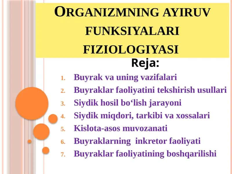 Organizmning ayiruv funksiyalari fiziologiyasi
