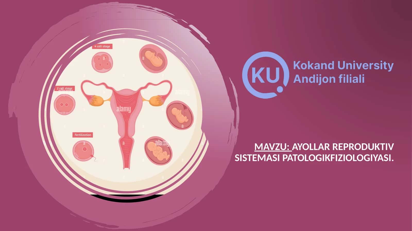 Ayollar reproduktiv sistemasi patologikfiziologiyasi