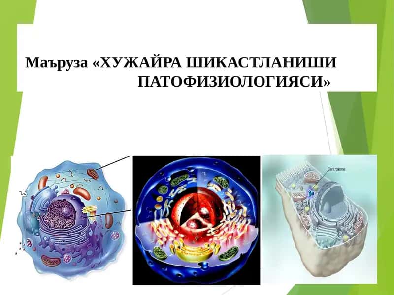 ХУЖАЙРА ШИКАСТЛАНИШИ ПАТОФИЗИОЛОГИЯСИ