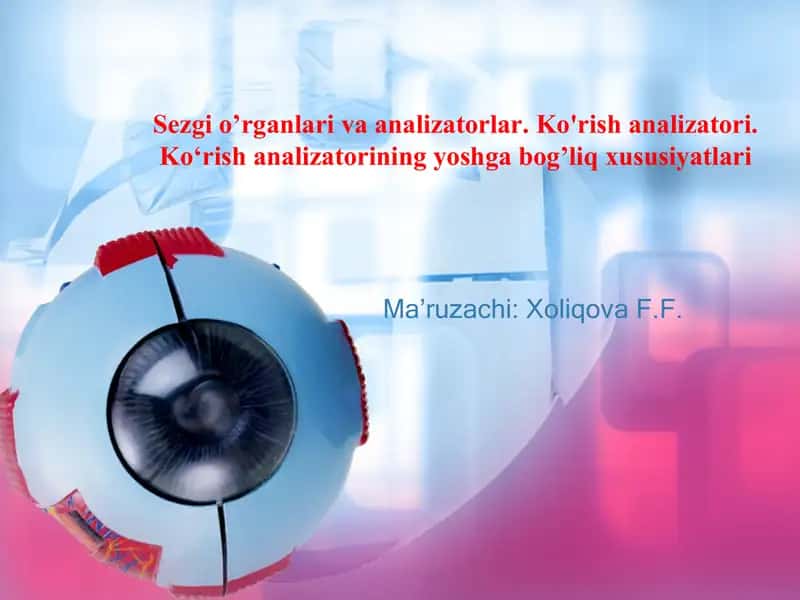 Sezgi o’rganlari va analizatorlar. Ko‘rish analizatori
