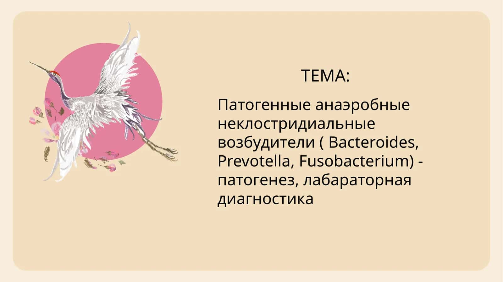 Патогенные анаэробные неклостридиальные возбудители ( Bacteroides, Prevotella, Fusobacterium) - патогенез, лабараторная диагностика