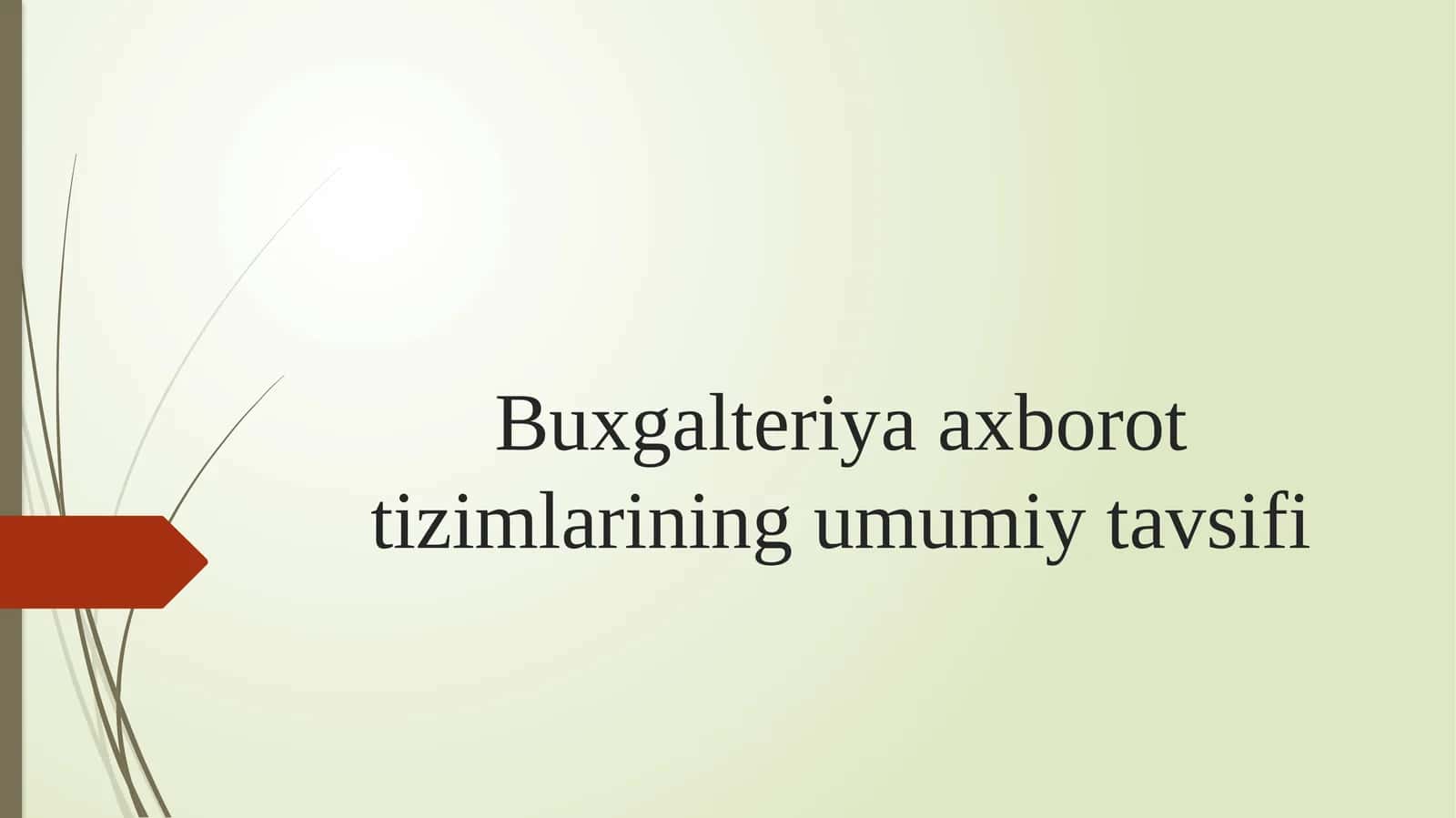 Buxgalteriya axborot tizimlari
