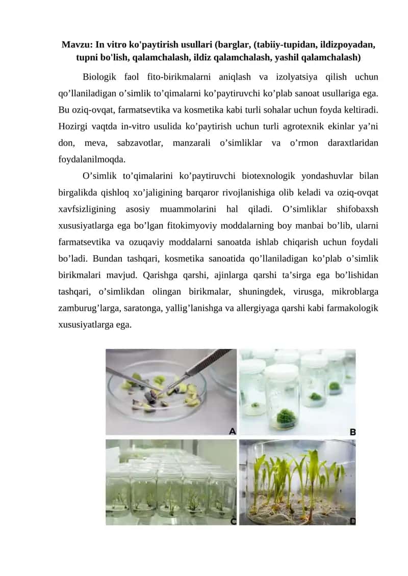 In vitro ko'paytirish usullari