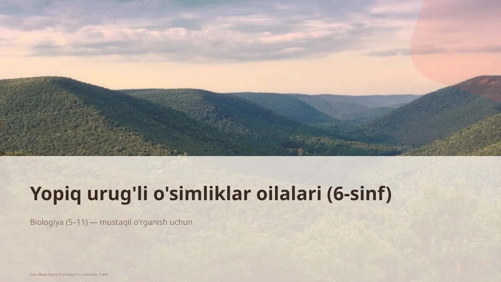 Yopiq urug'li o'simliklar oilalari (6-sinf)