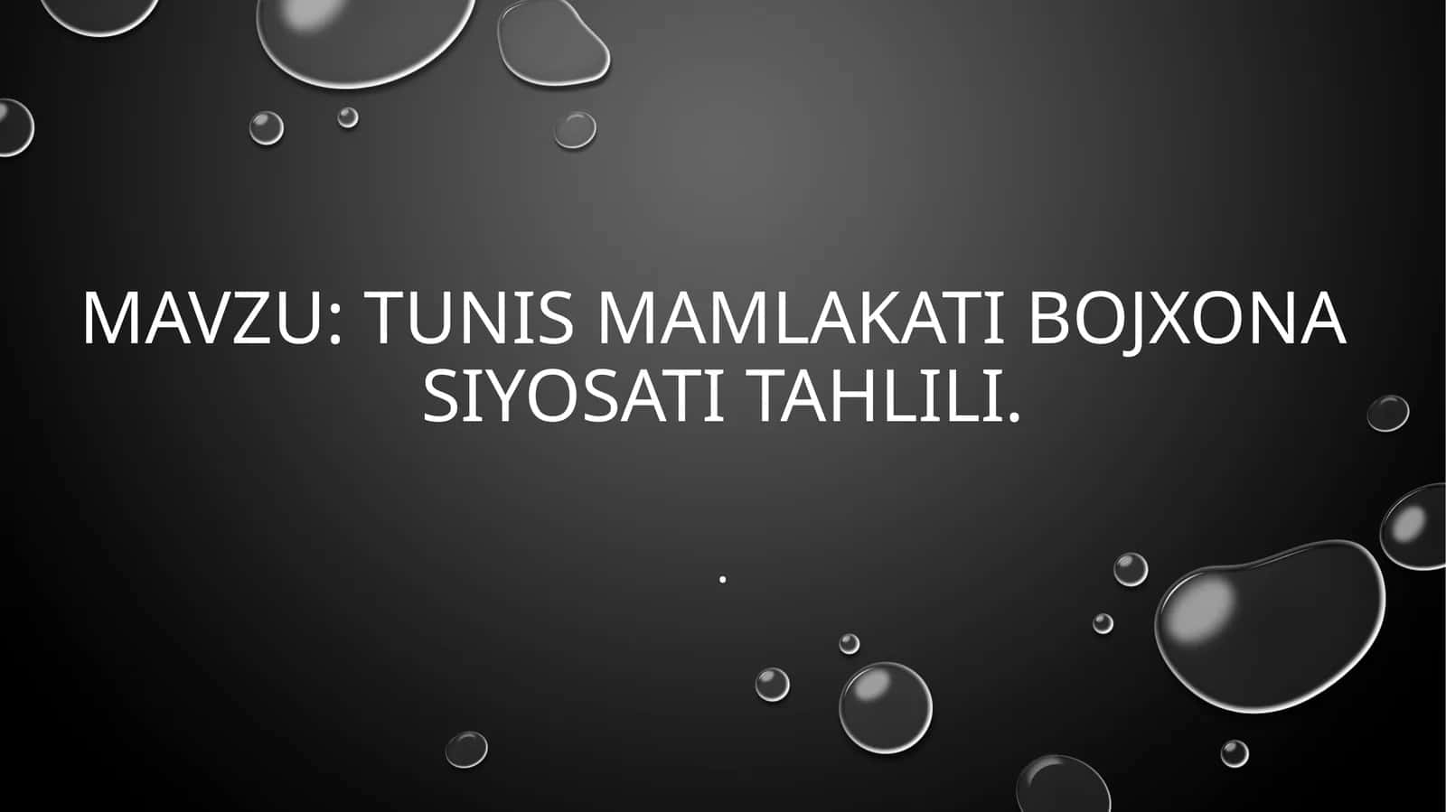 TUNIS mamlakati bojxona  siyosati tahlili