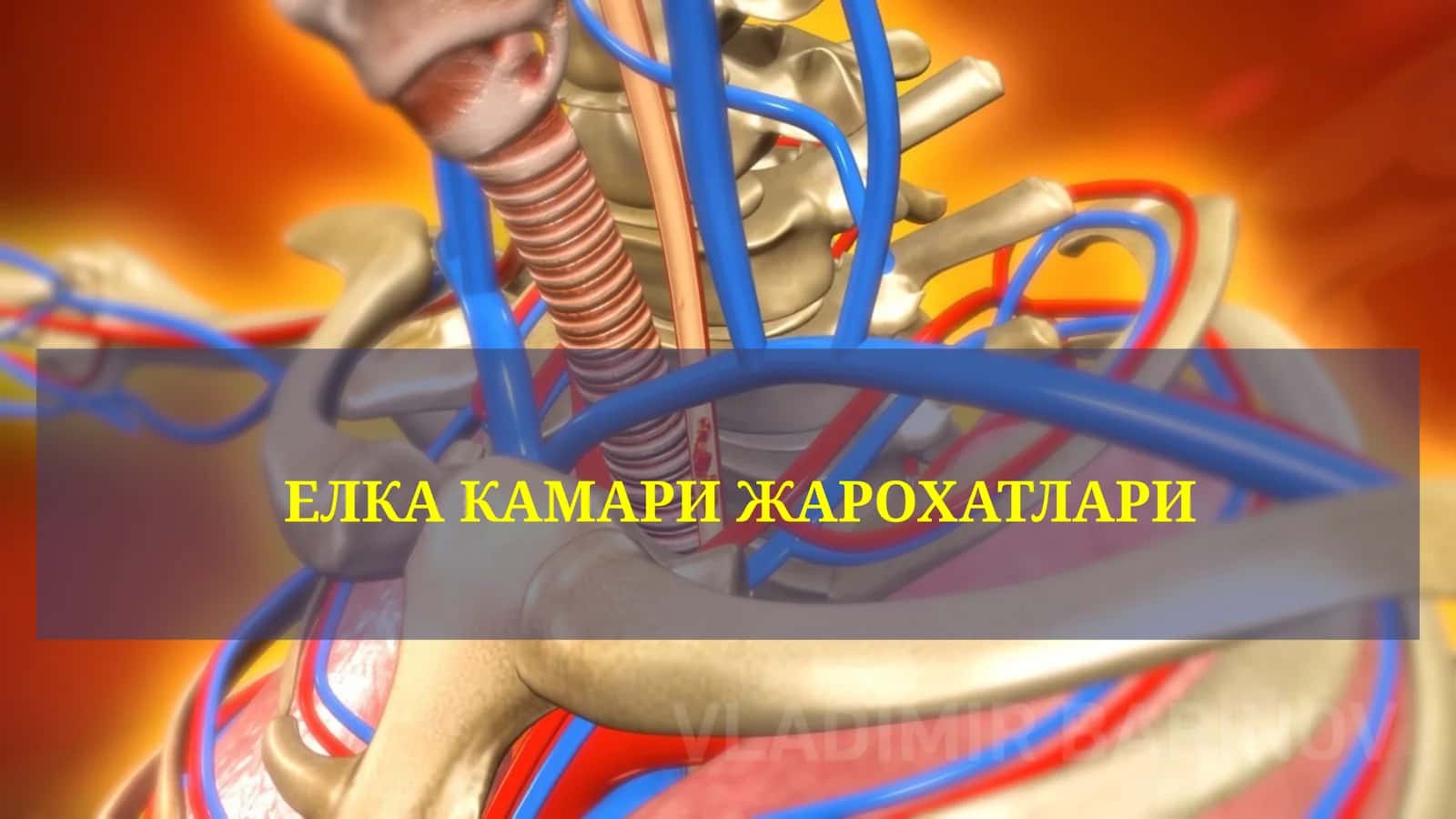 ЕЛКА КАМАРИ ЖАРОХАТЛАРИ