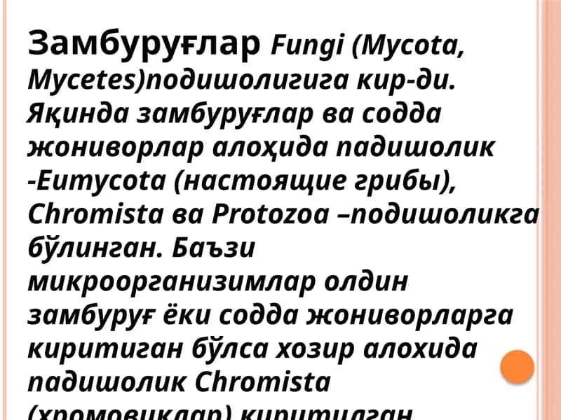 Замбуруғлар
