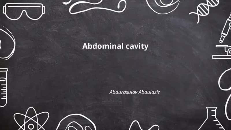 Abdominal cavity