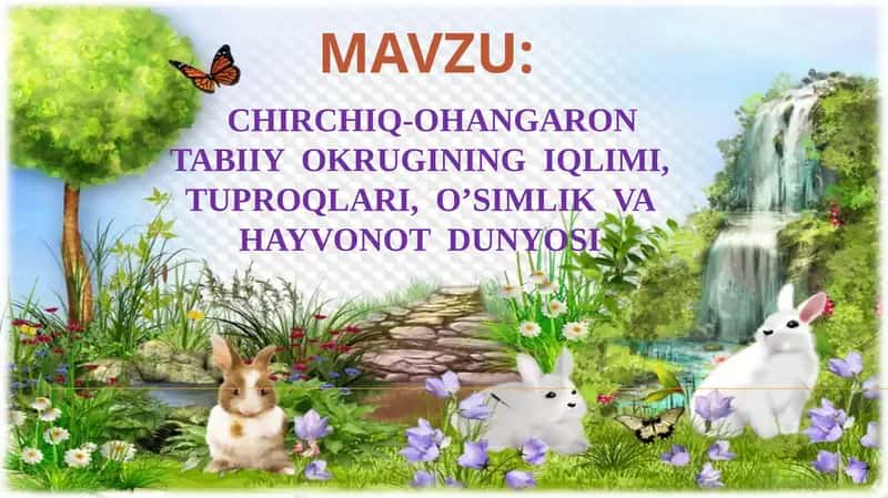 CHIRCHIQ-OHANGARON TABIIY OKRUGI