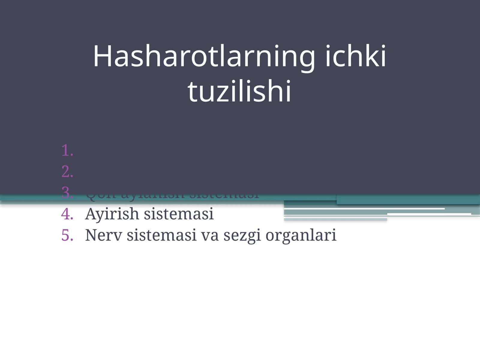 Hasharotlarning ichki tuzilishi