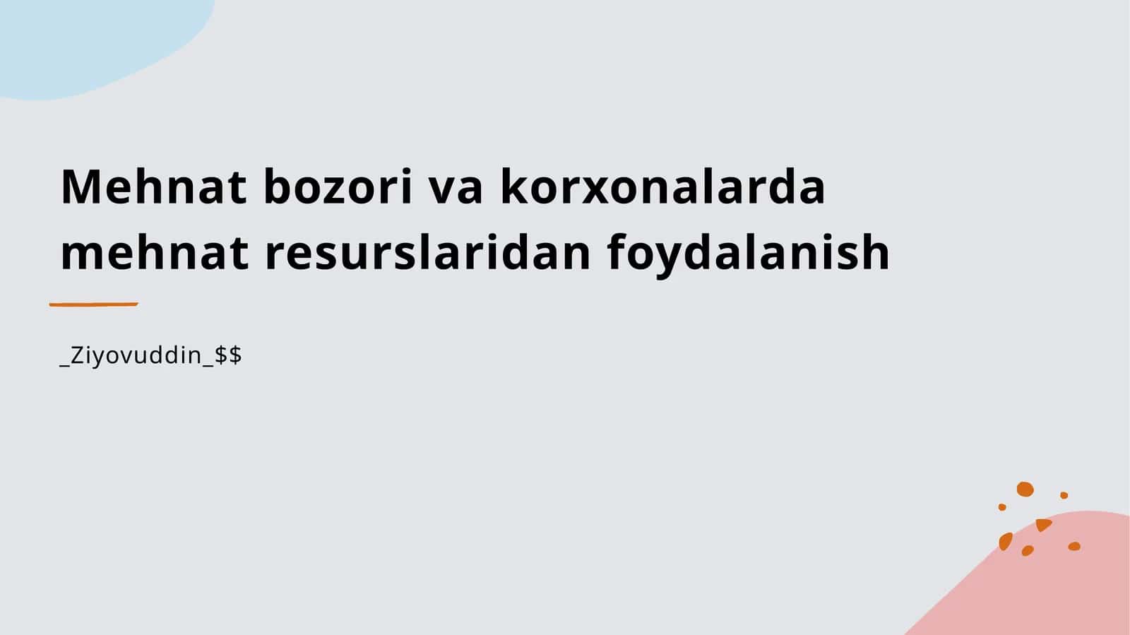 Mehnat bozori va korxonalarda mehnat resurslaridan foydalanish