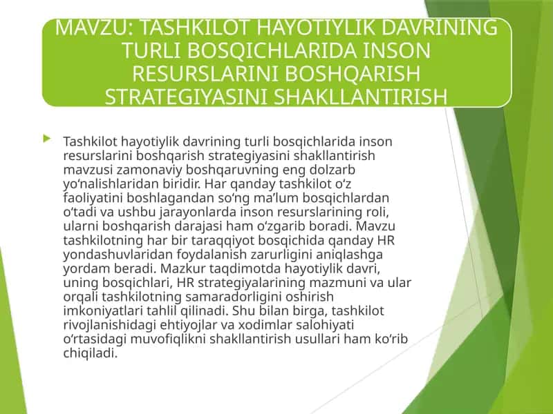 Tashkilot hayotiylik davrining turli bosqichlari