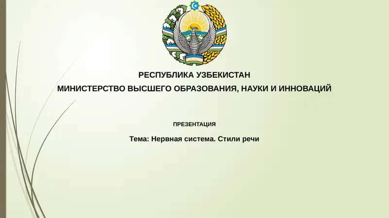 Нервная система. Стили речи