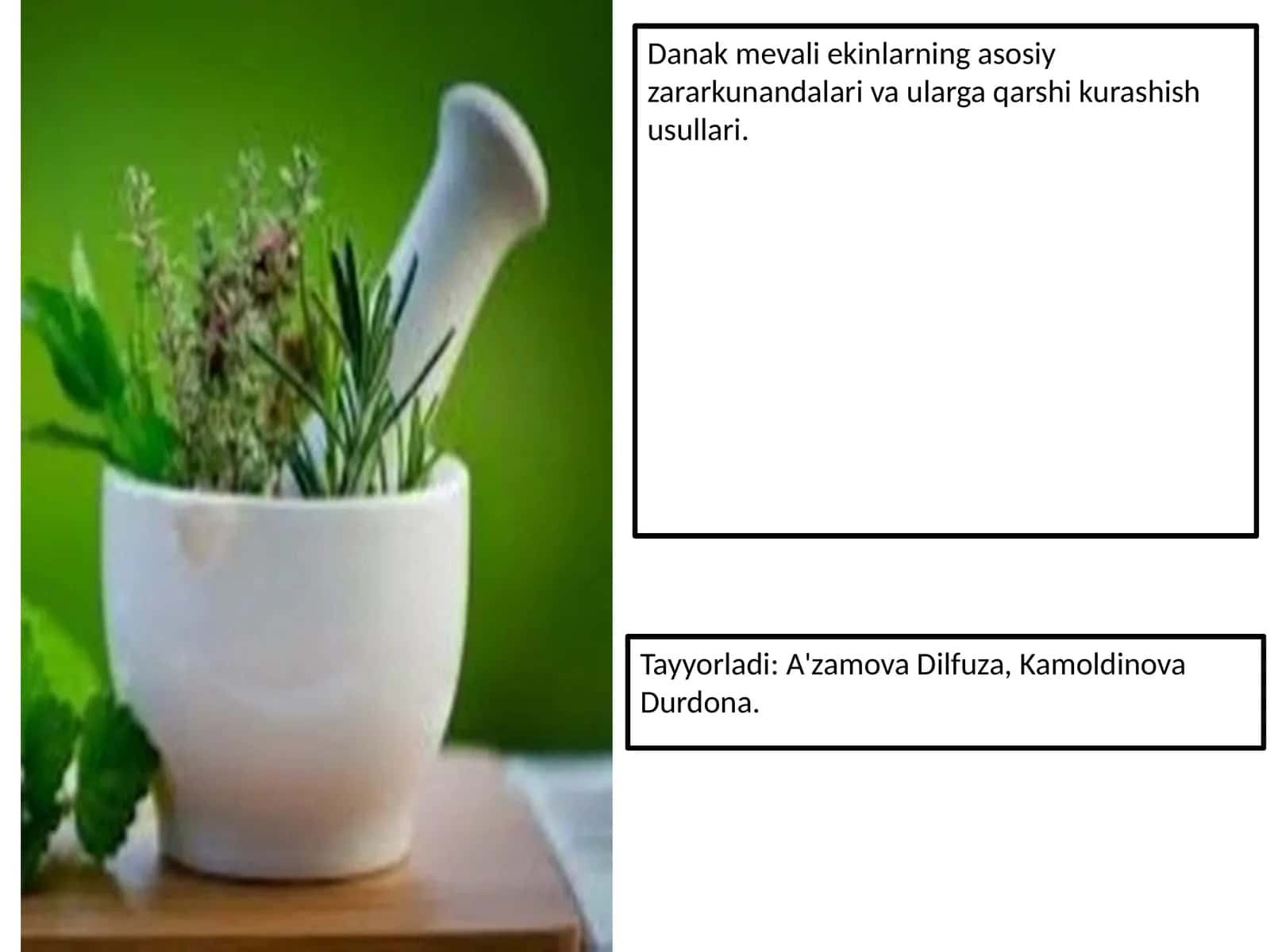 Danak mevali ekinlarning asosiy zararkunandalari va ularga qarshi kurashish usullari