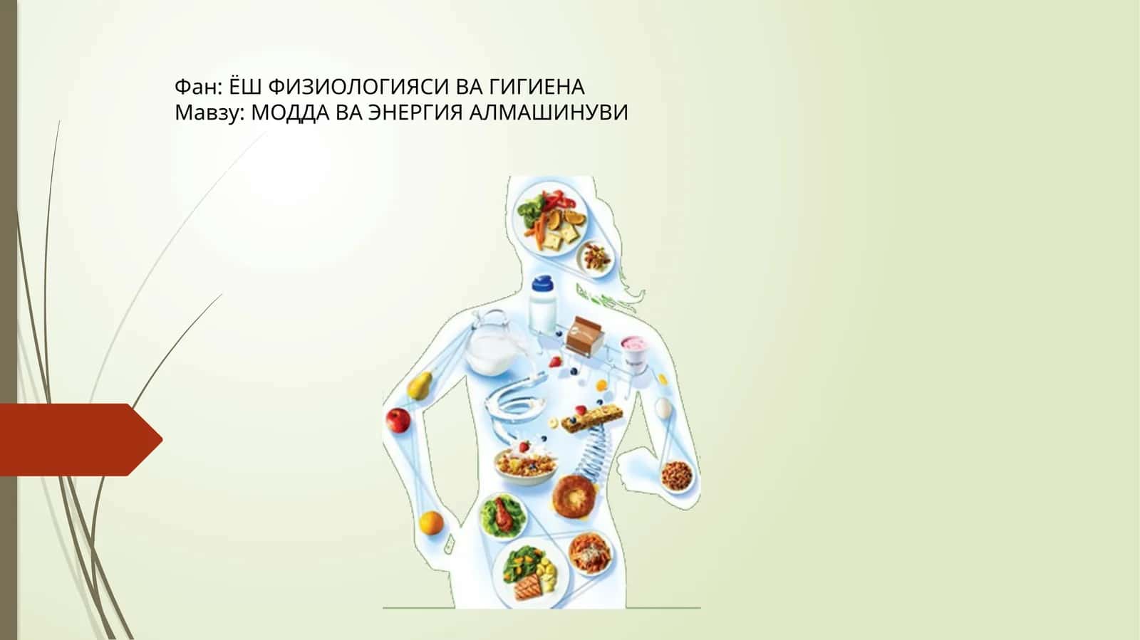 ЁШ ФИЗИОЛОГИЯСИ ВА ГИГИЕНА