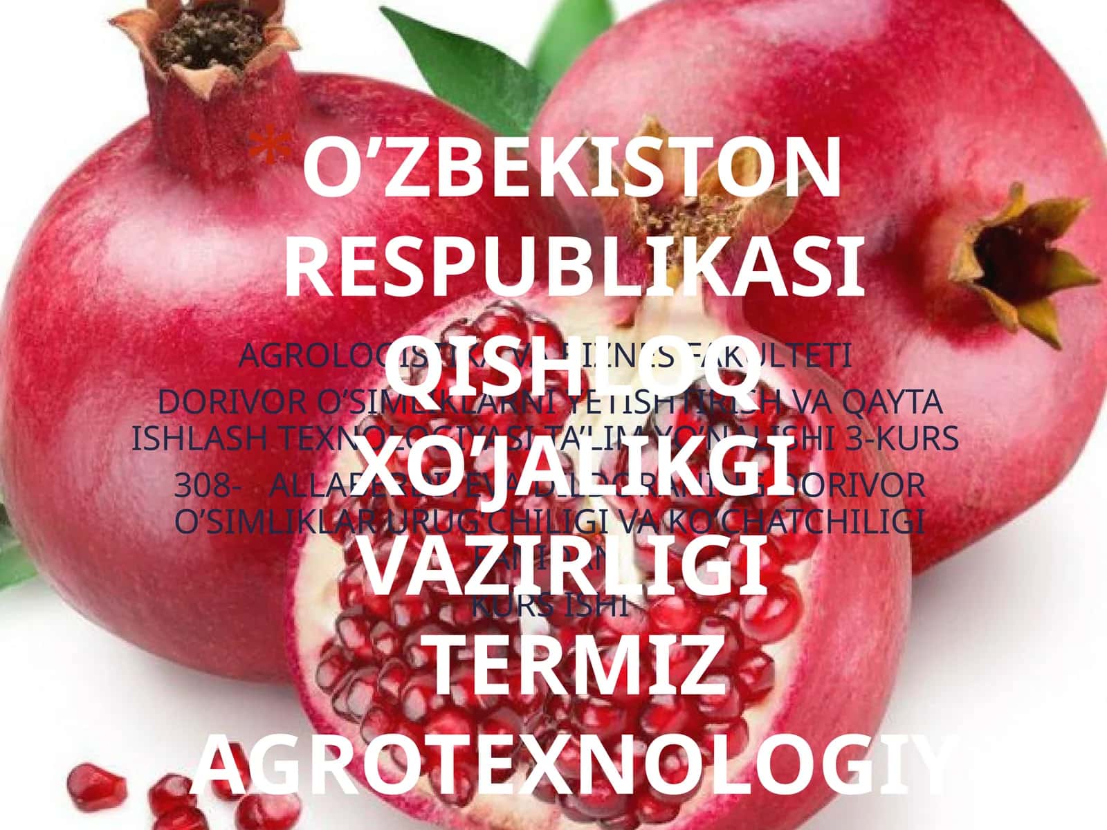 Anor (Punicagranatum) o’simligining biologiyasi va ko’chatchiligi