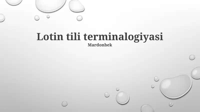 Lotin tili terminalogiyasi