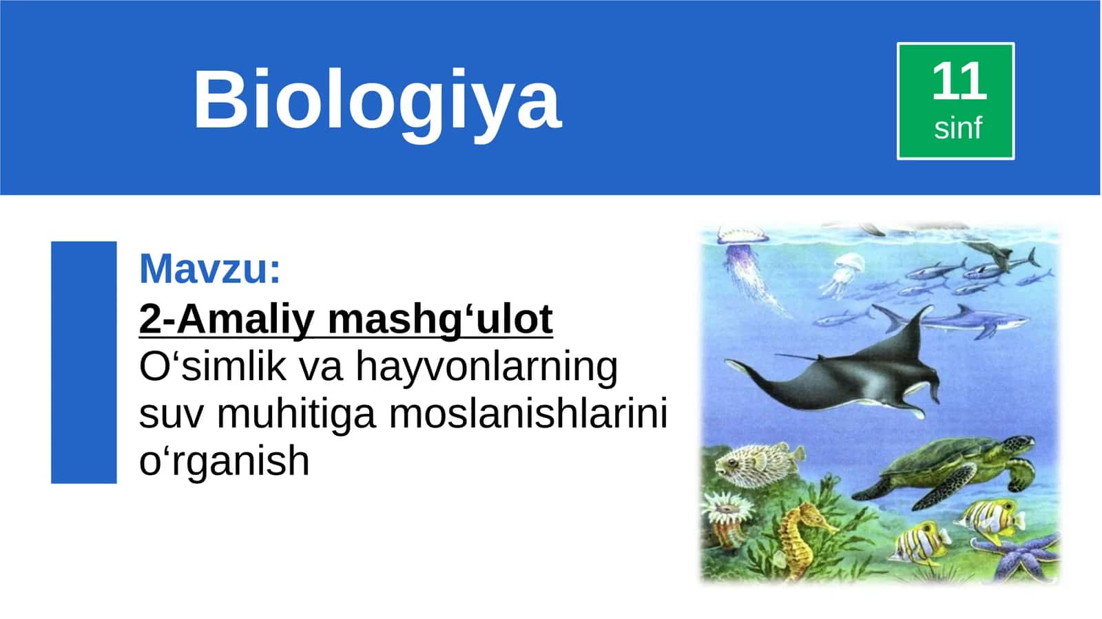 O‘simlik va hayvonlarning suv muhitiga moslanishlarini o‘rganish
