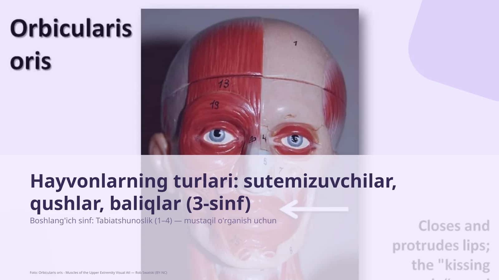Tabiatshunoslik darsi