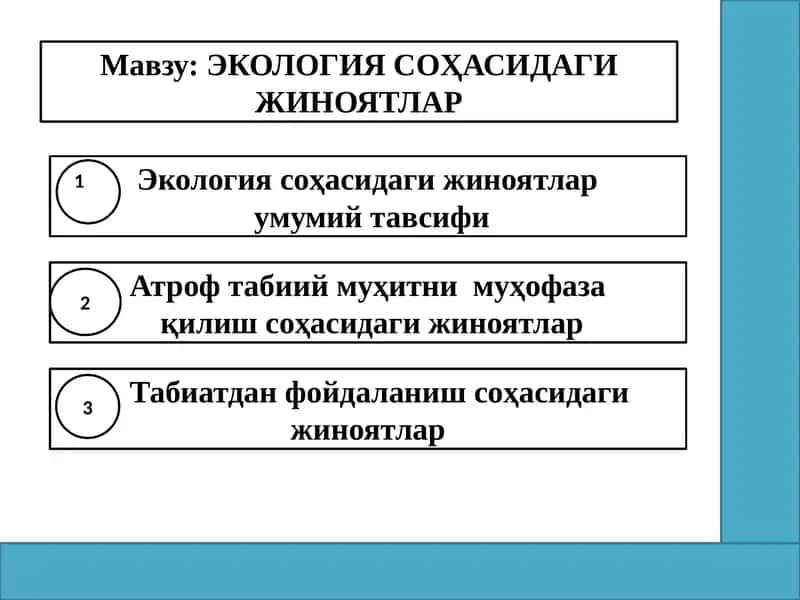 ЭКОЛОГИЯ СОҲАСИДАГИ ЖИНОЯТЛАР